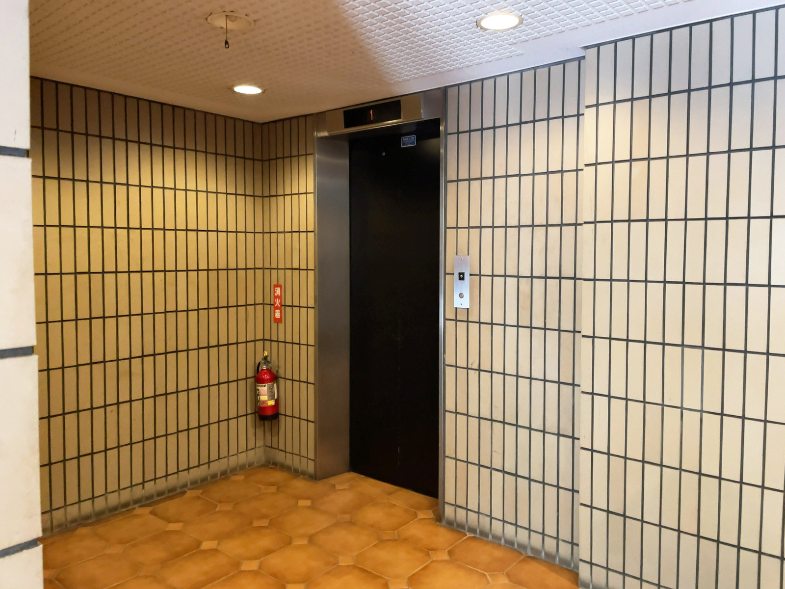 エレベーター(1基)