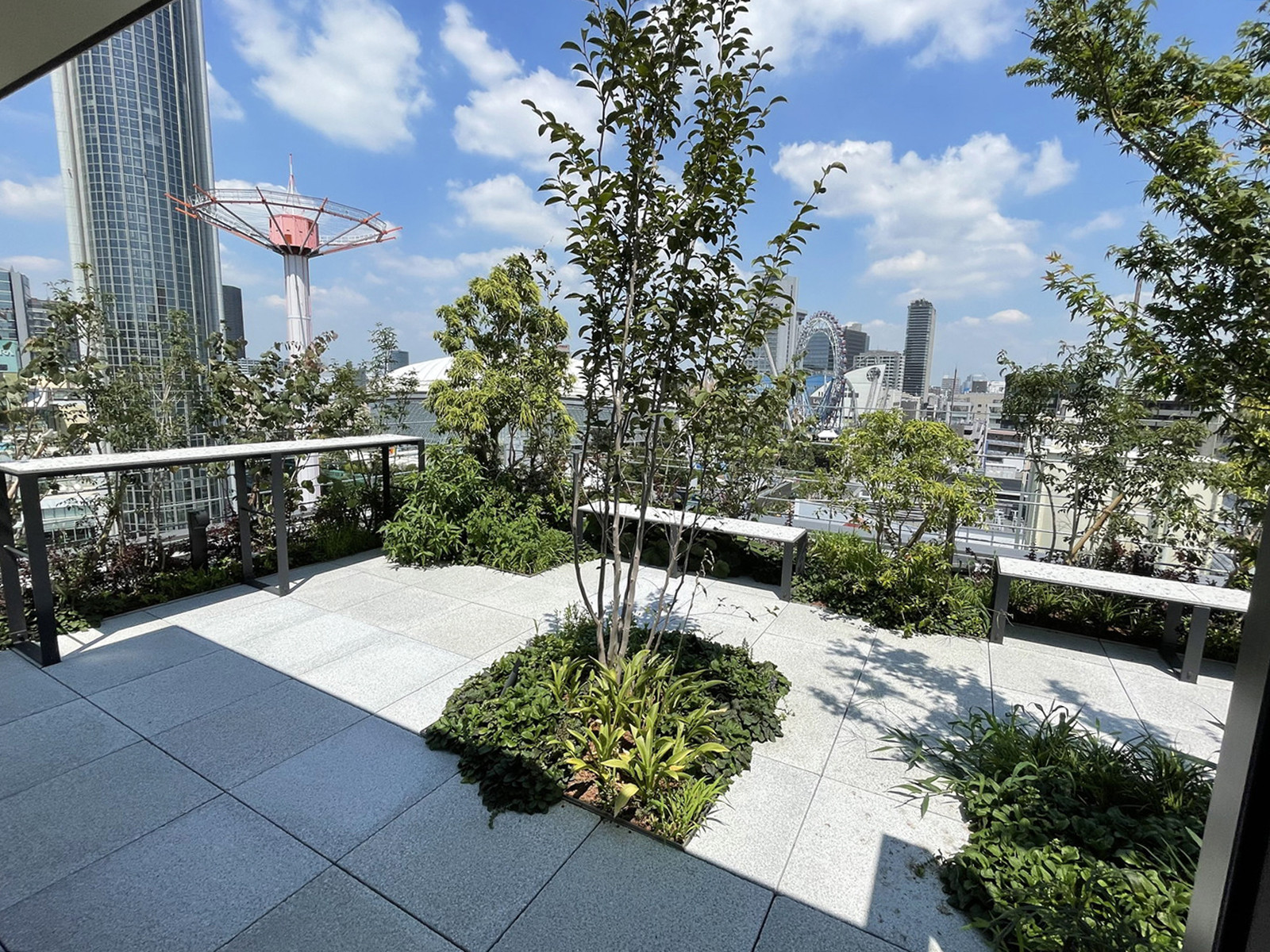 屋上庭園