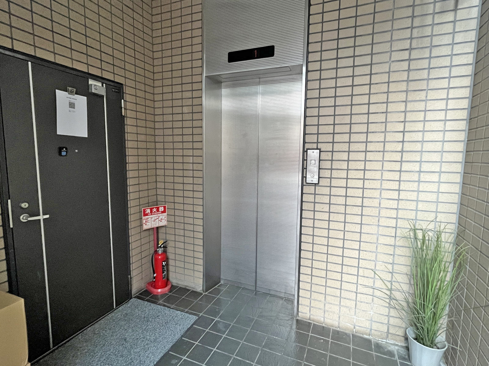 エレベーター(1基)