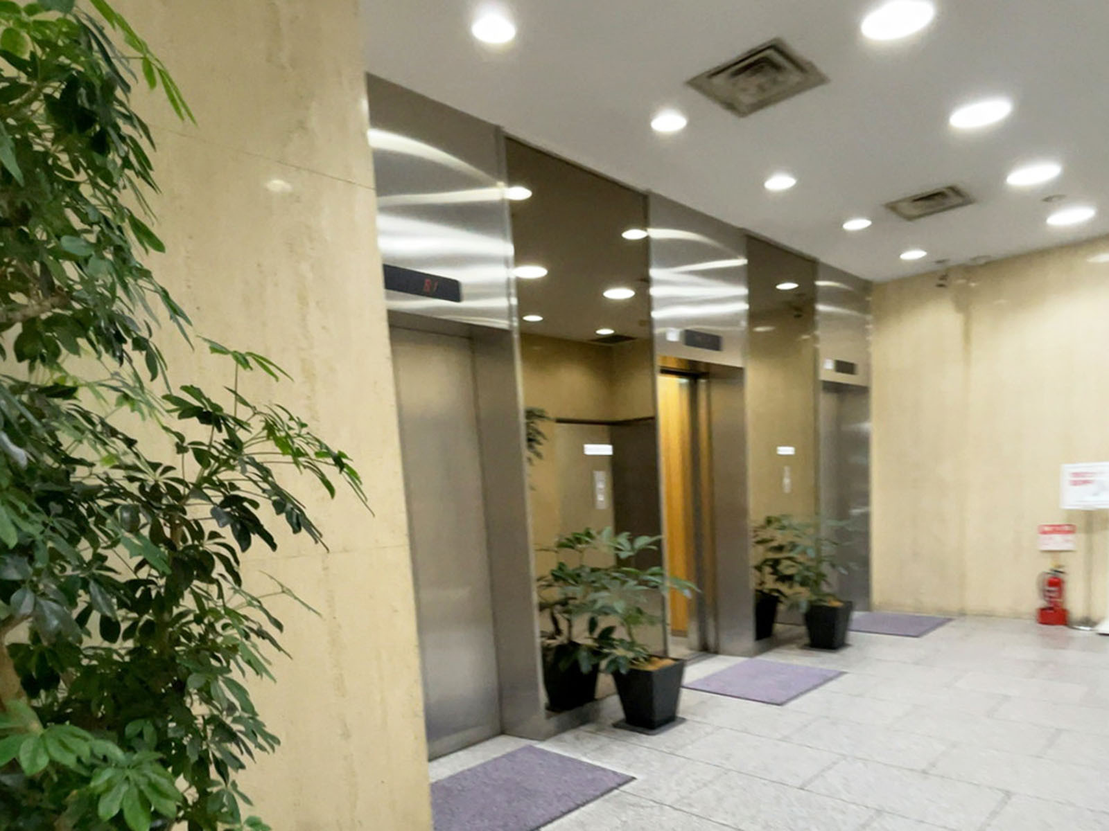 エレベーター(3基)