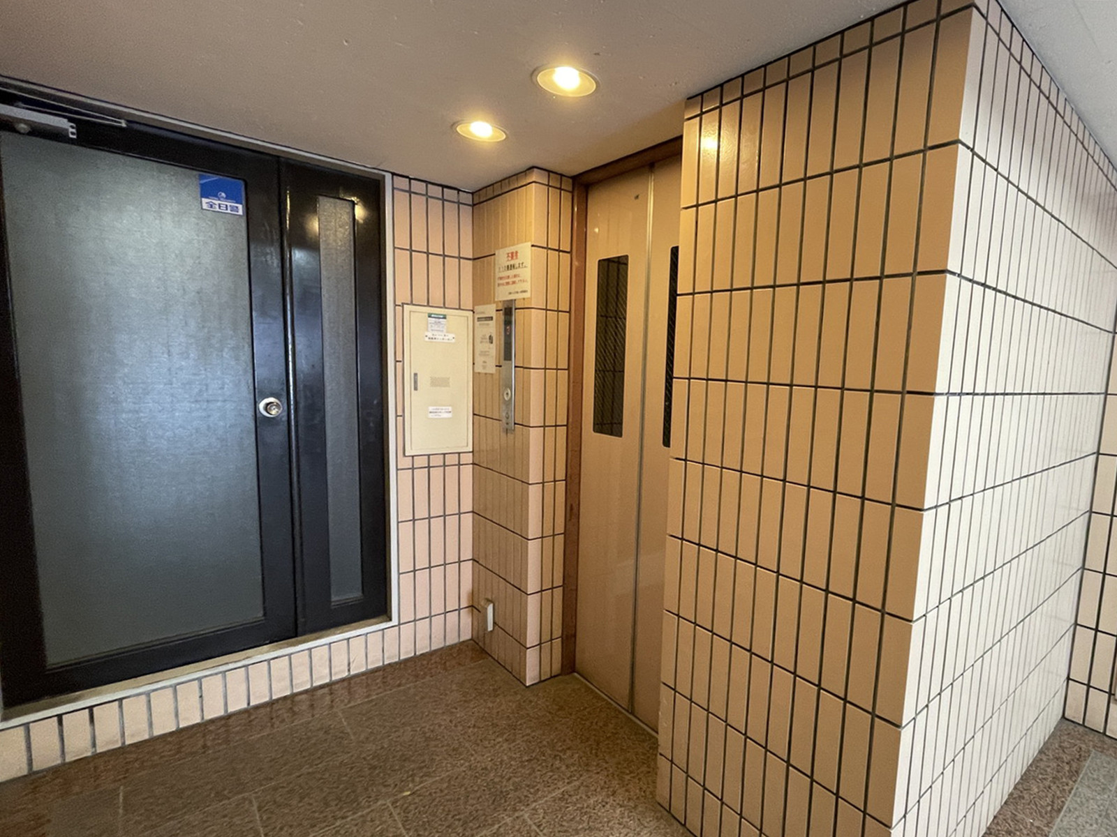 エレベーター(1基)