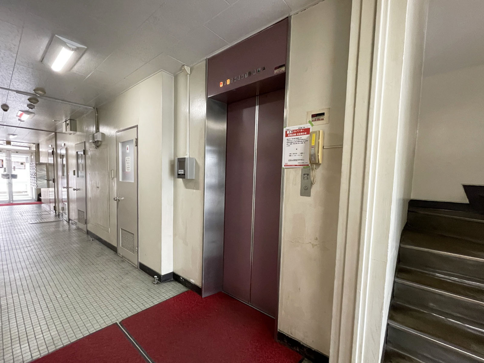 エレベーター(1基)