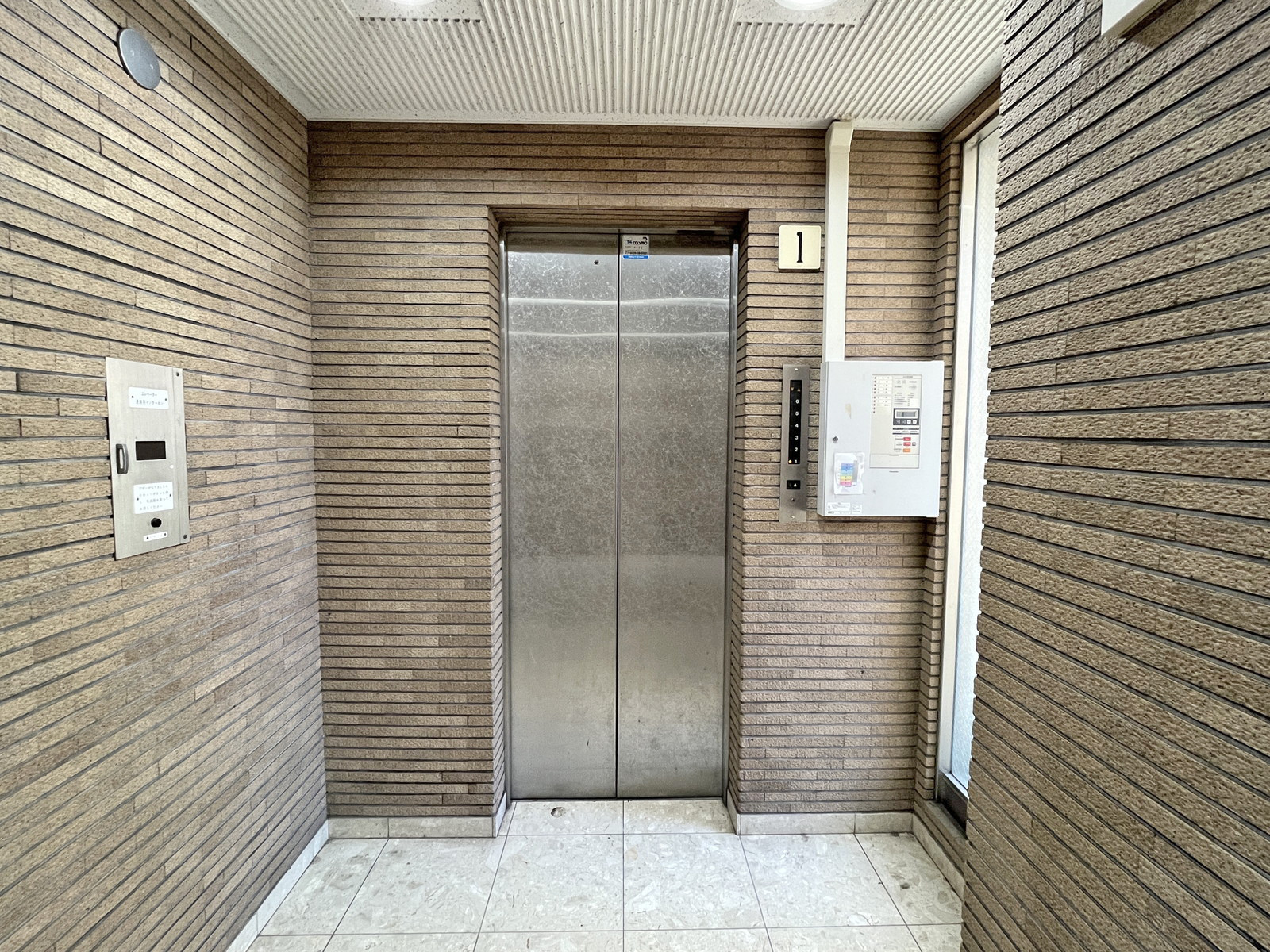 エレベーター(1基)