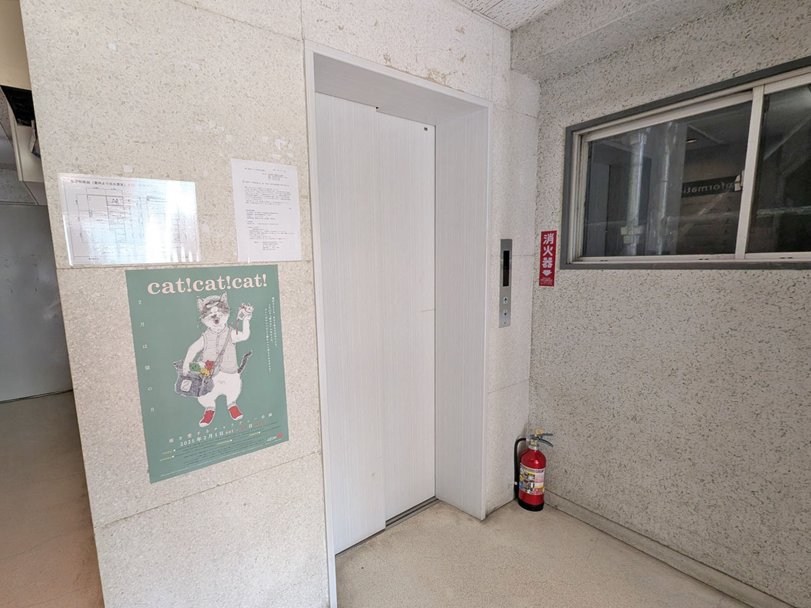 エレベーター(1基)
