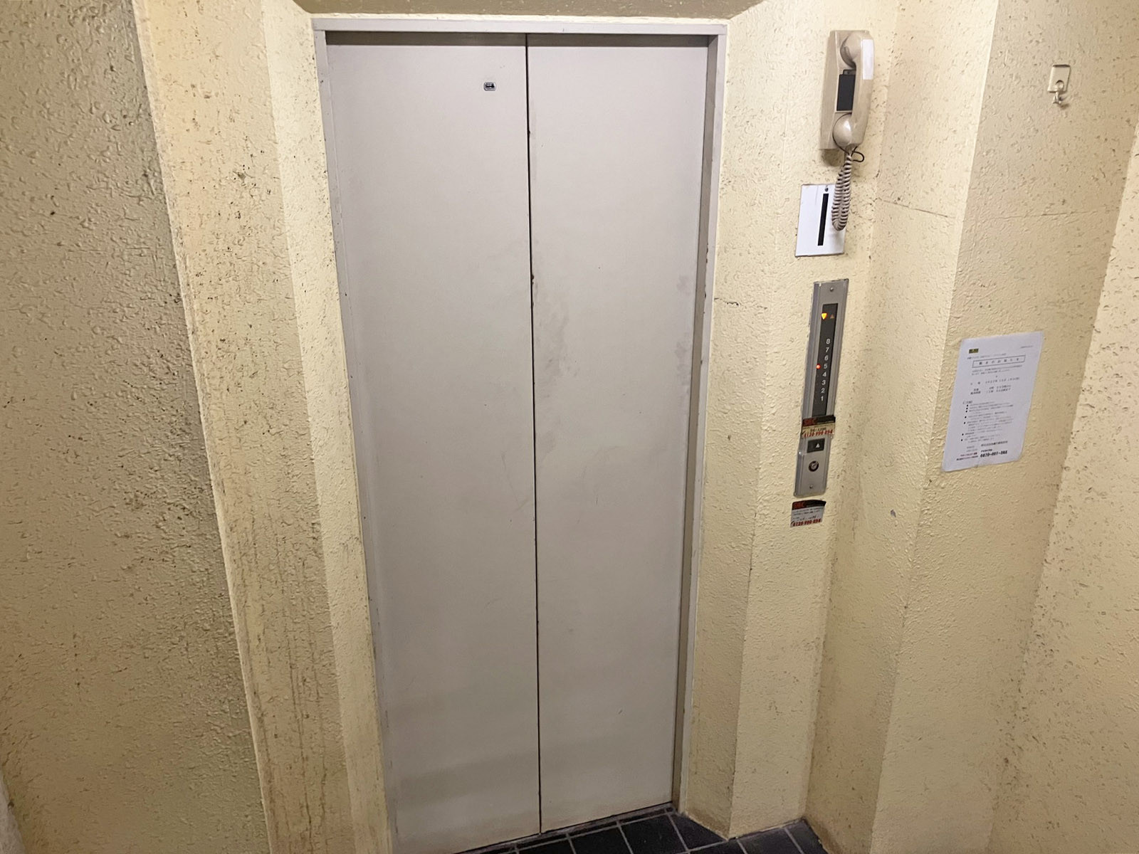 エレベーター(1基)