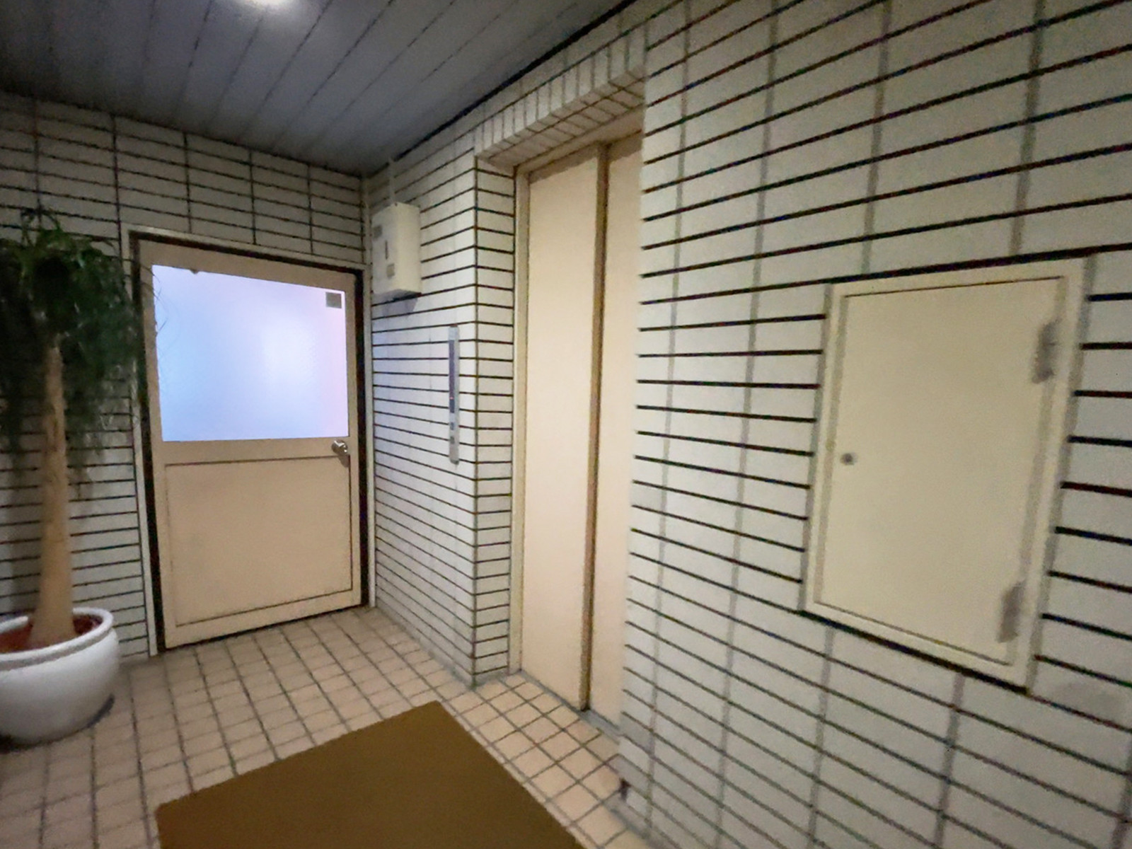 エレベーター(1基)