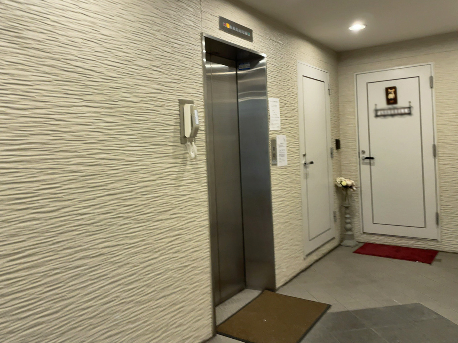 エレベーター(1基)