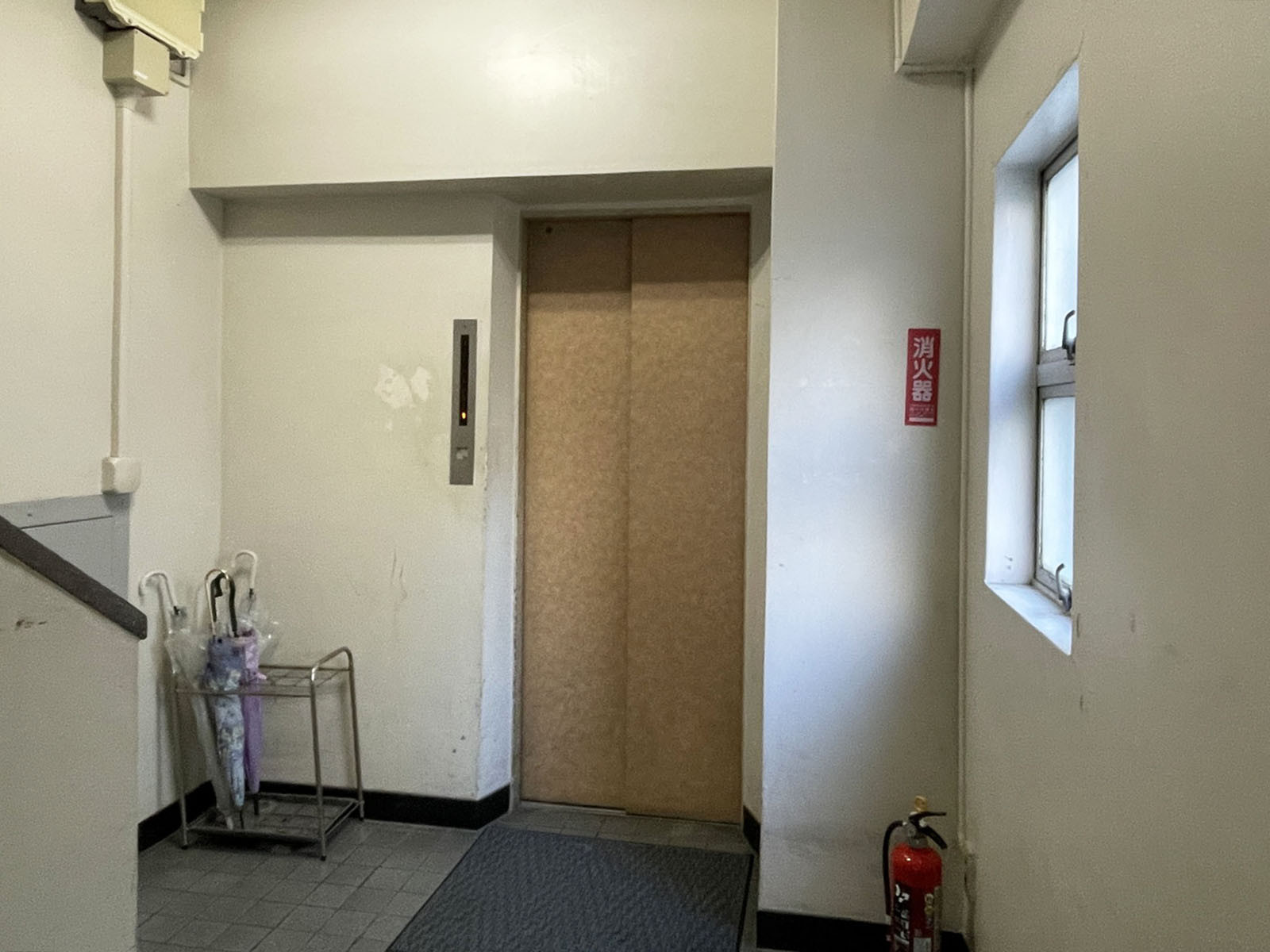 エレベーター(1基)