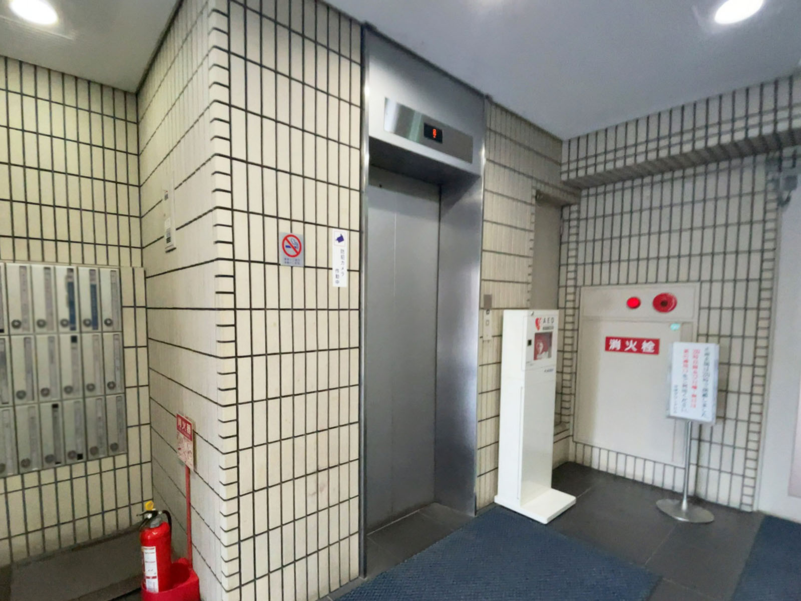 エレベーター(1基)