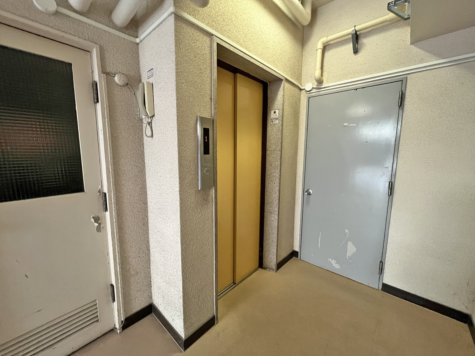エレベーター(1基)