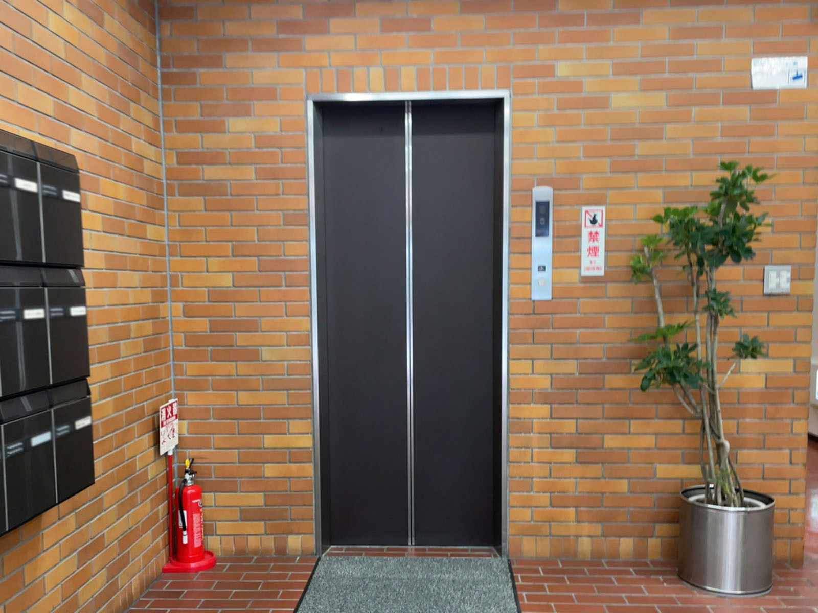 エレベーター(1基)