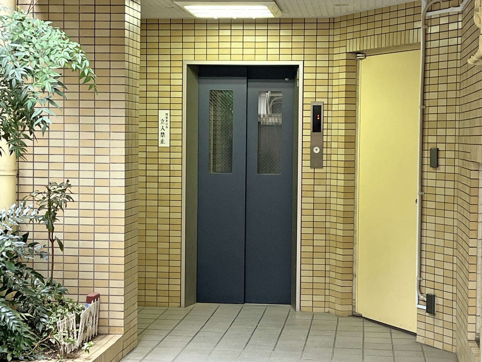 エレベーター(1基)