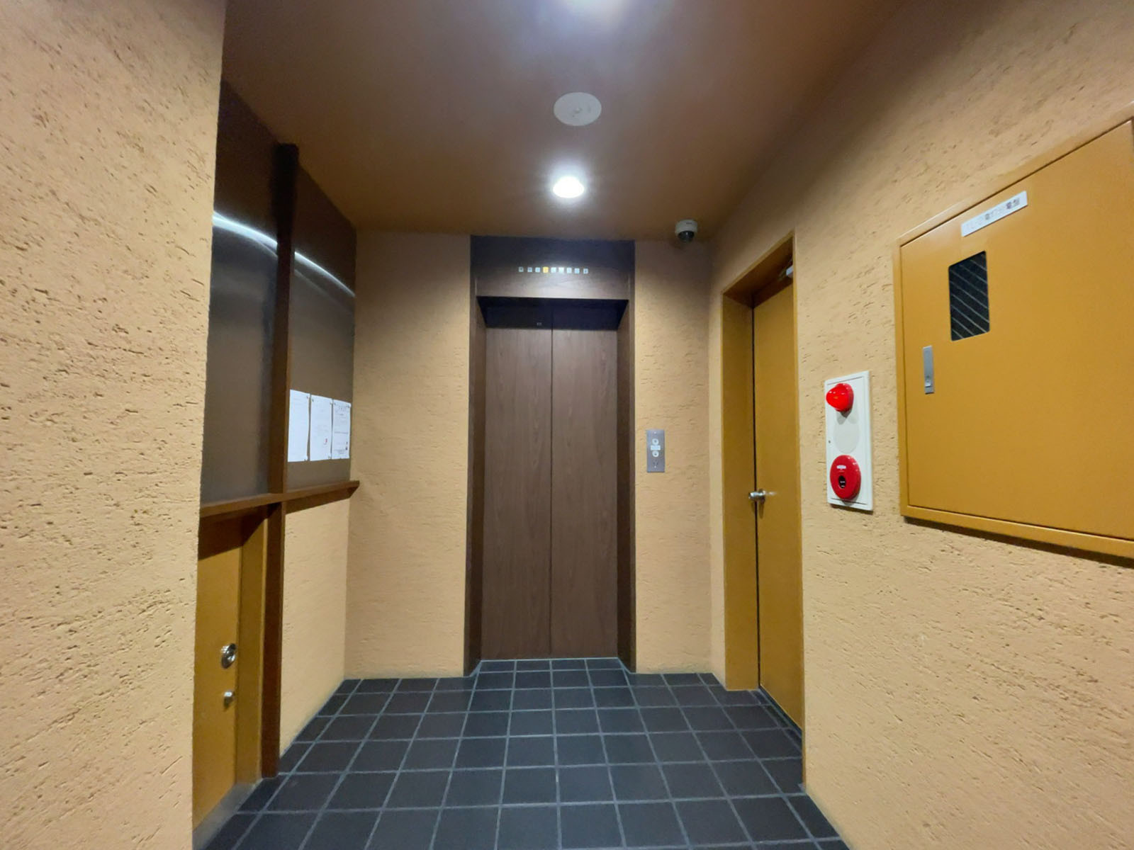 エレベーター(1基)