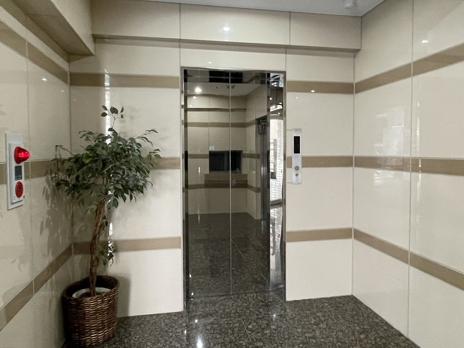 エレベーター(1基)