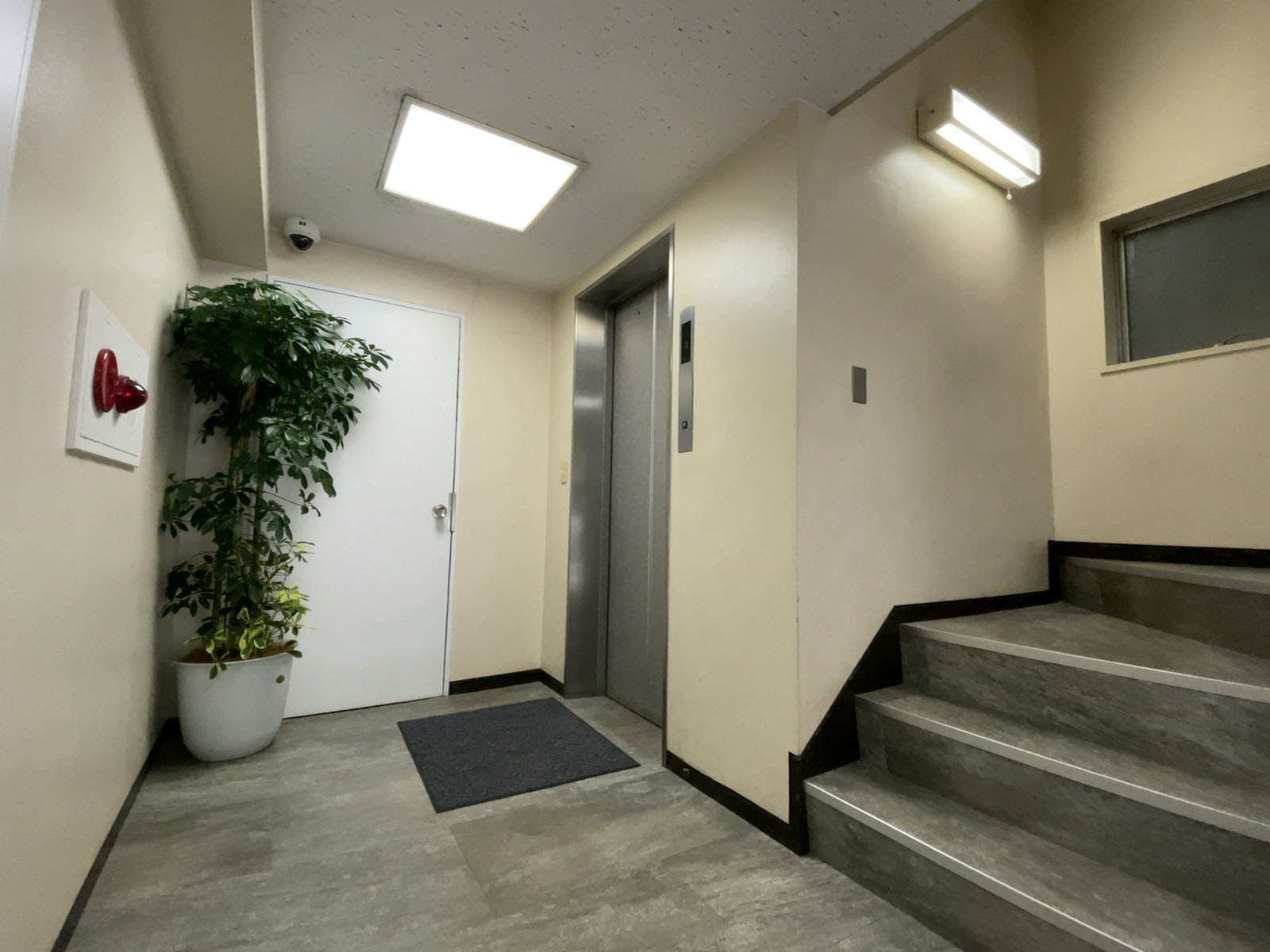 エレベーター(1基)