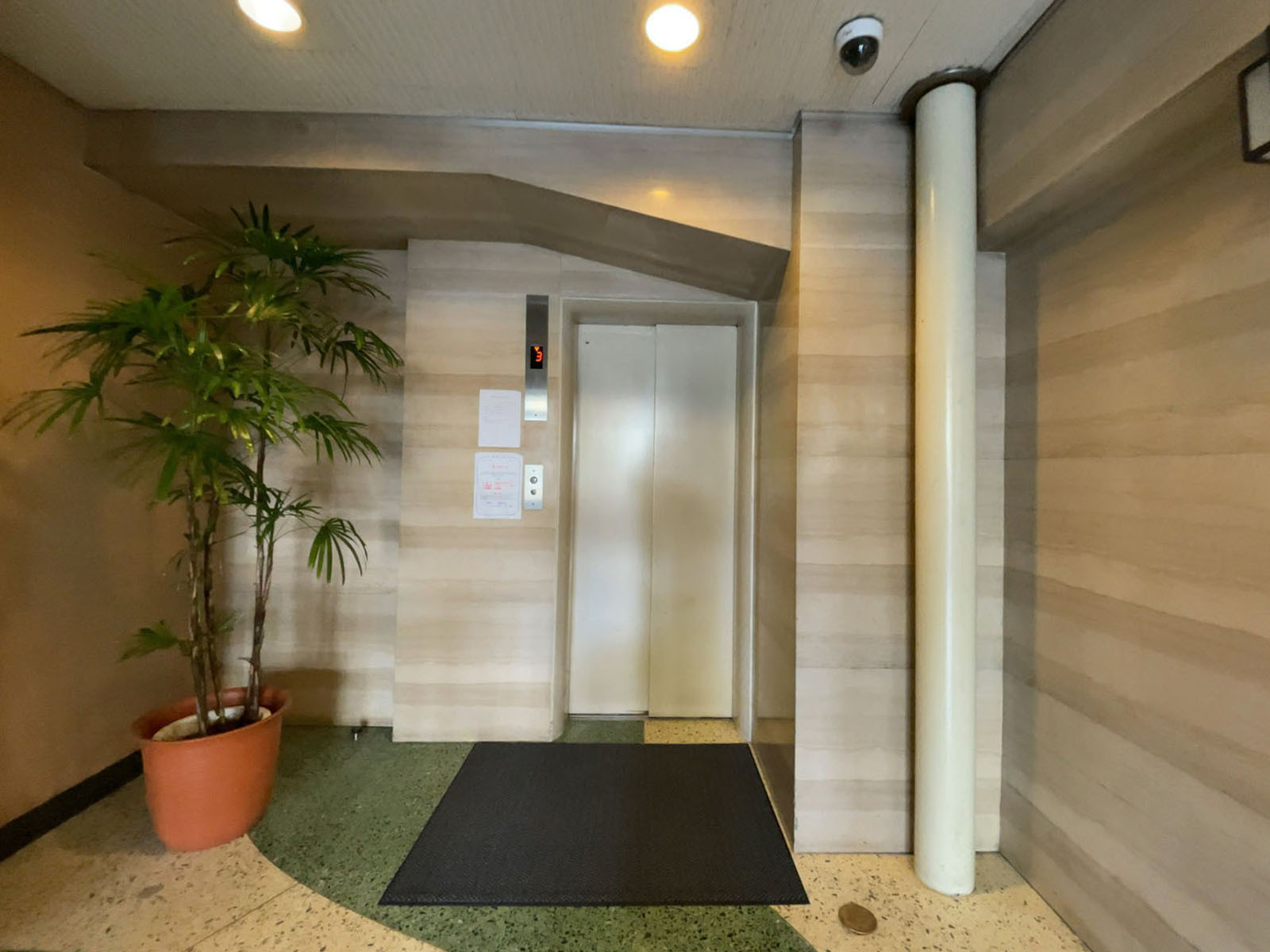 エレベーター(1基)