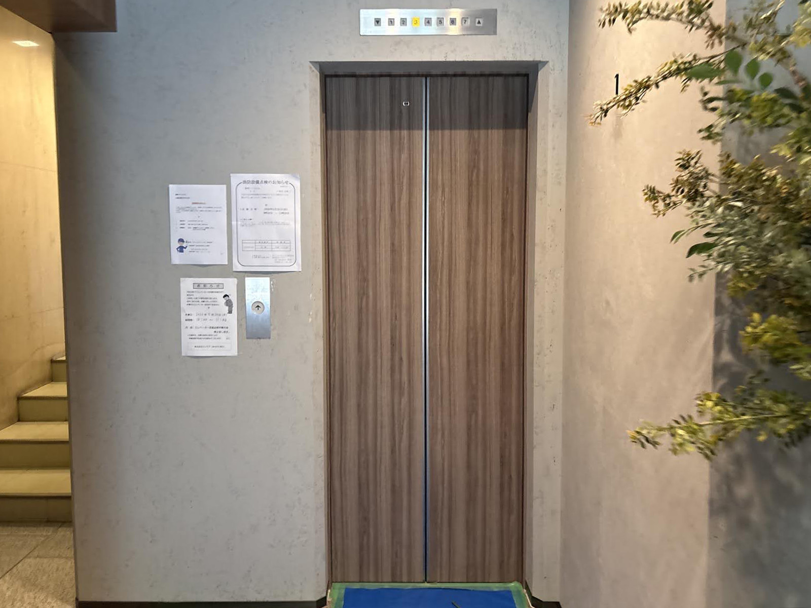 エレベーター(1基)