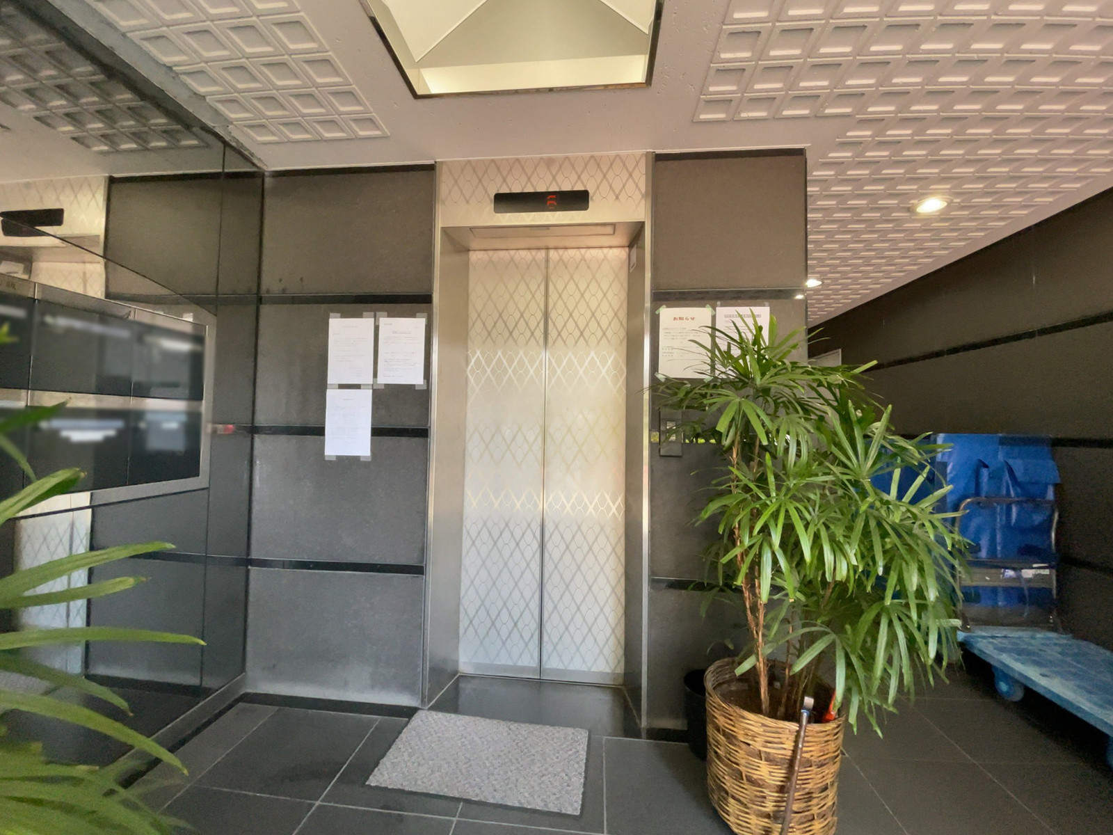 エレベーター(1基)