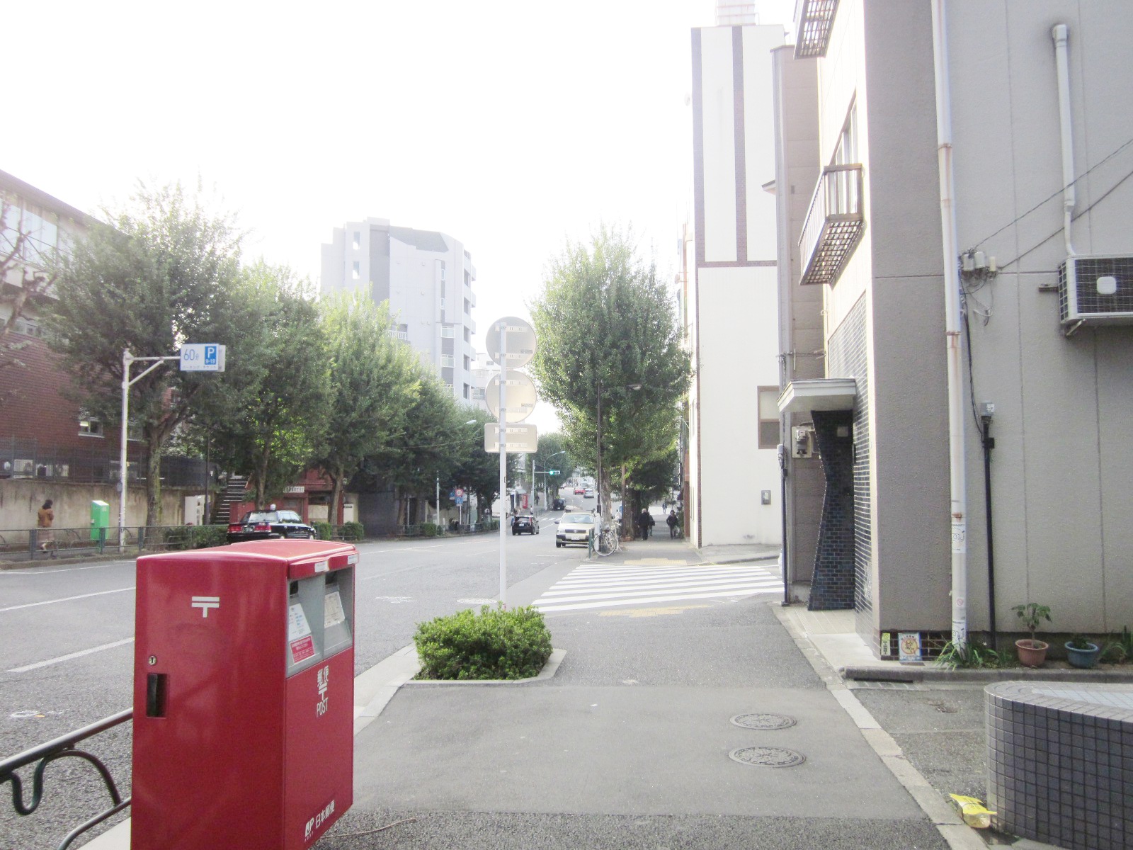 街路樹が綺麗なビル前の通り