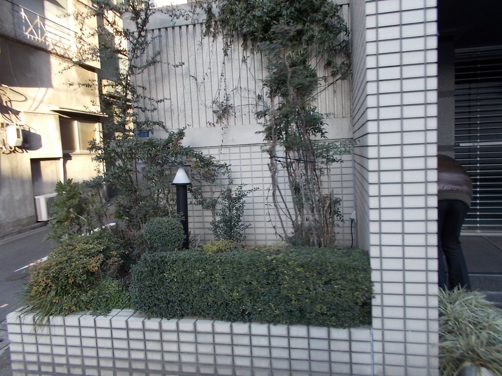 ビルの雰囲気 画像5