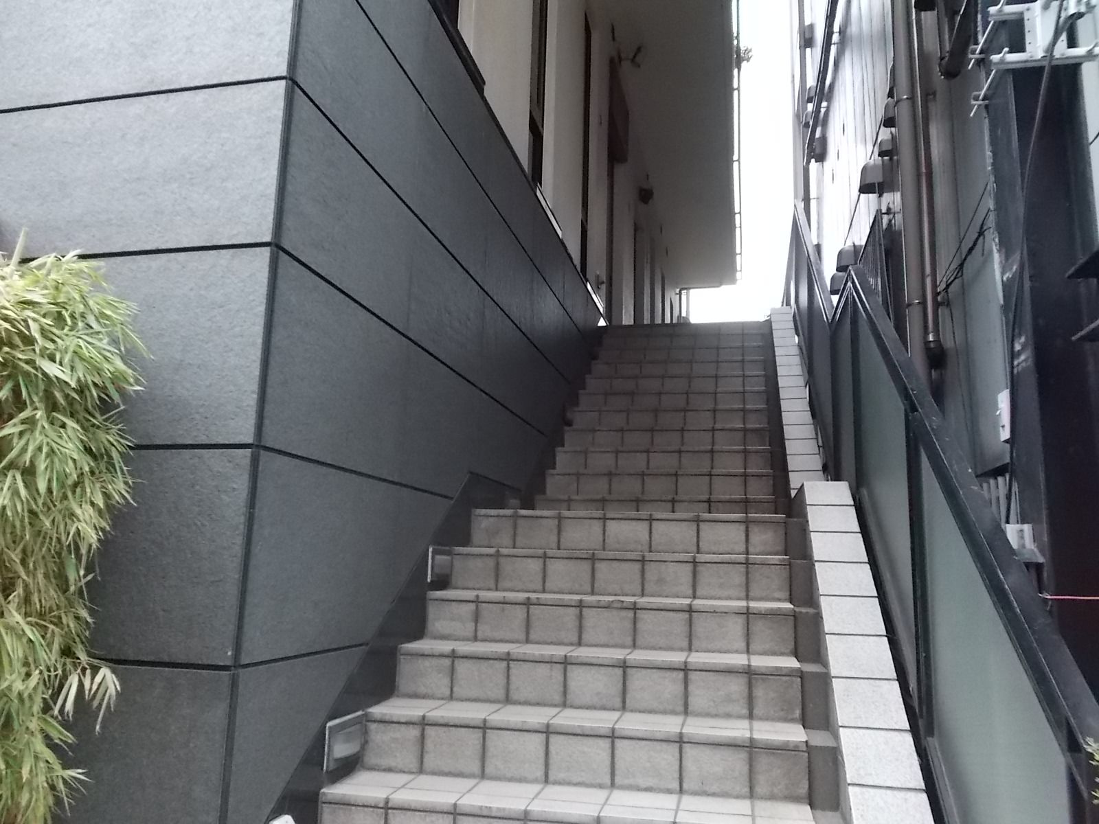2階へ続く階段
