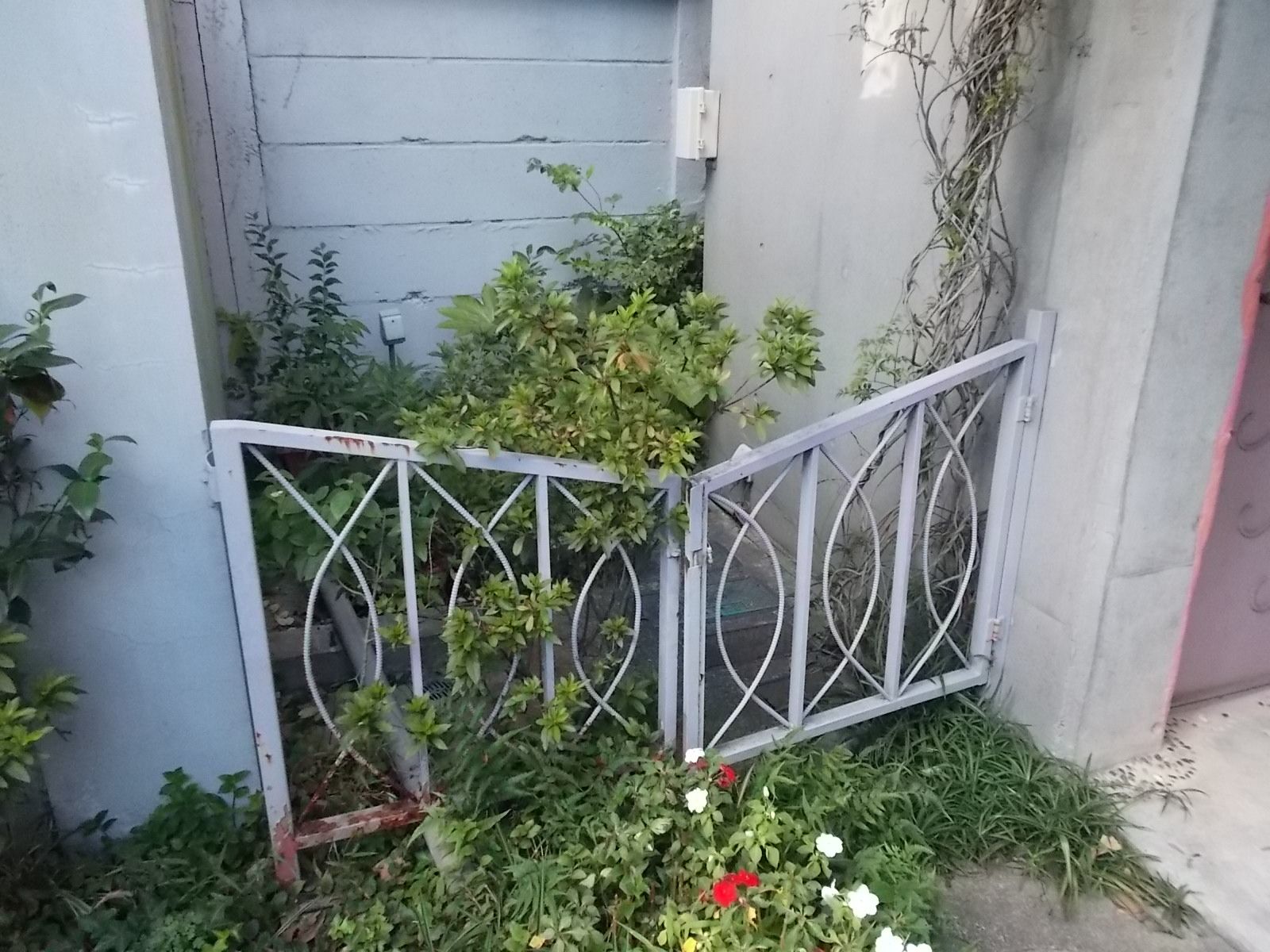建物裏側への侵入口
