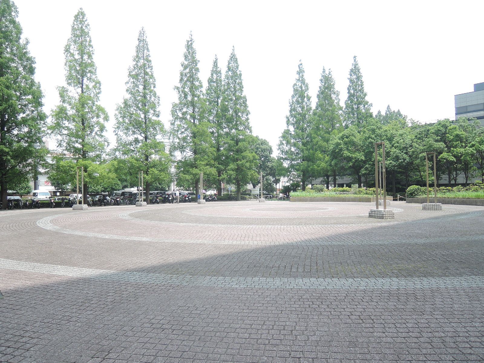 中庭の様子