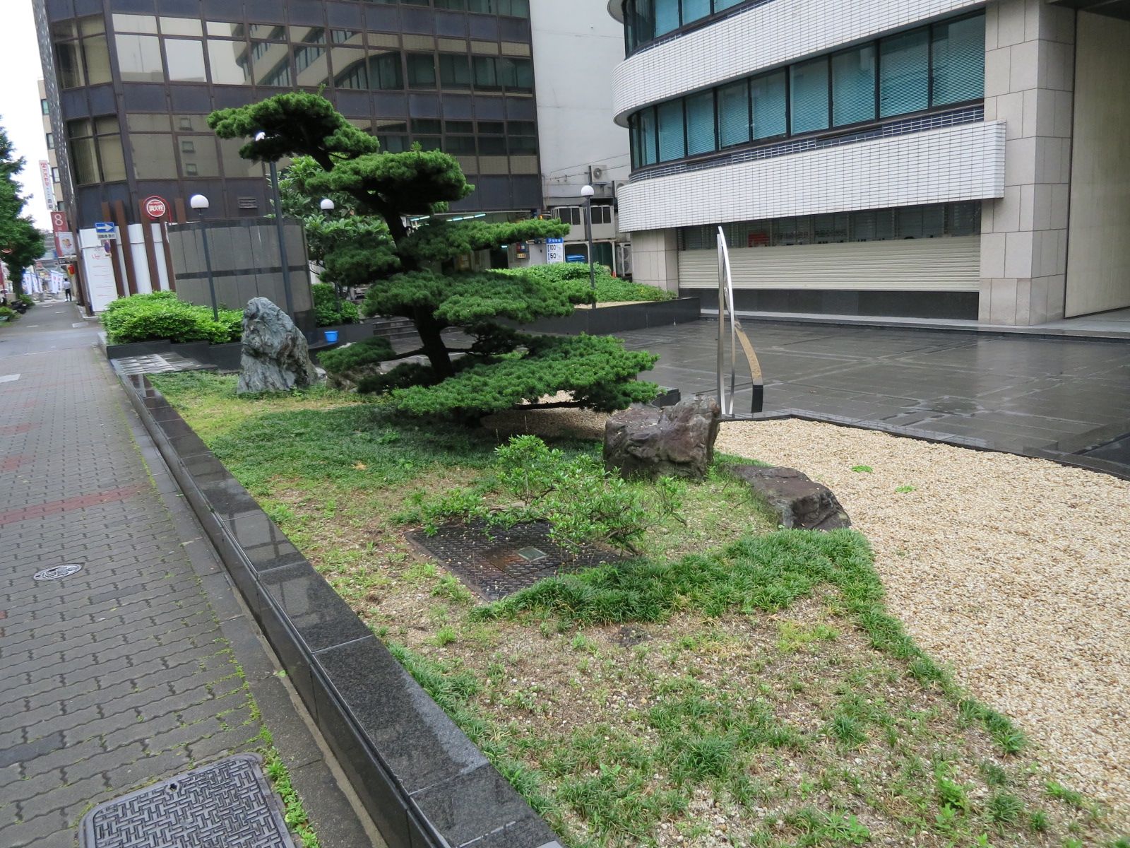 エントランス前の植栽