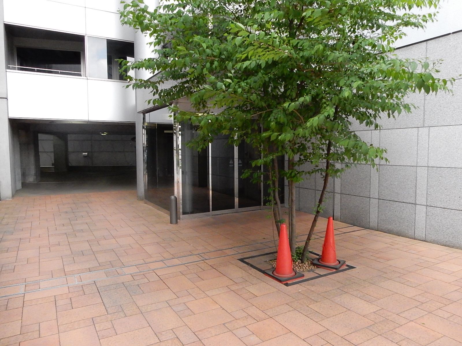 1階の雰囲気