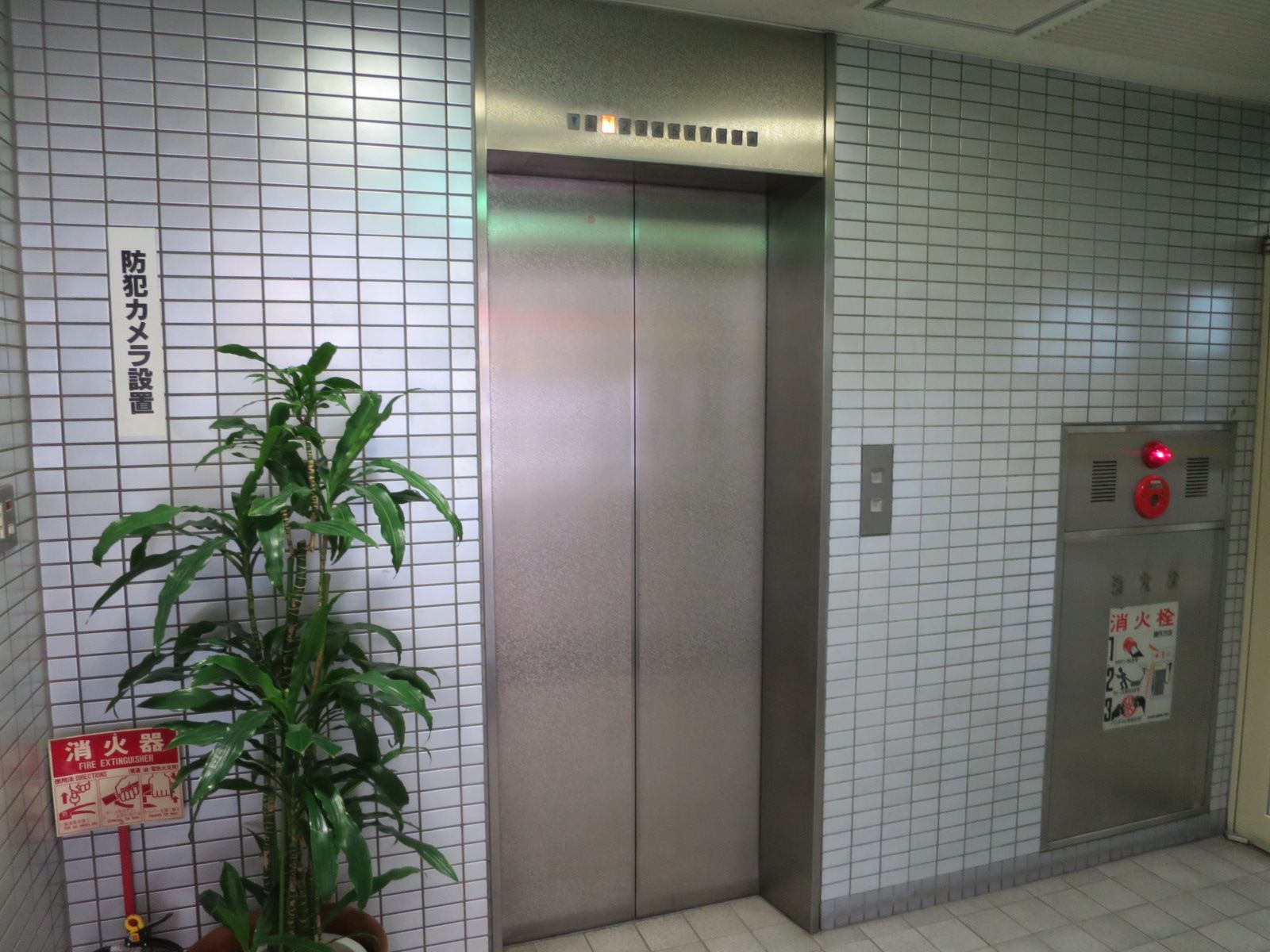 エレベーター(1基)