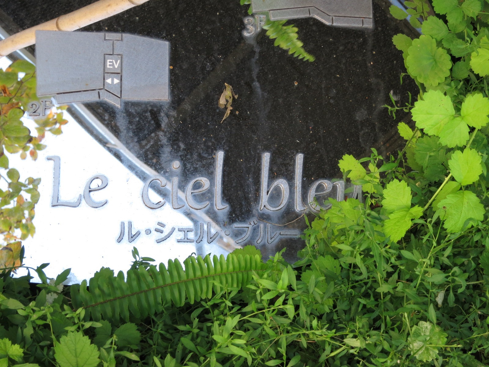ネームプレート：Le ciel bleuビル
