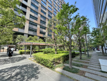 敷地内には緑が豊富