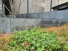 ネームプレート：グラ