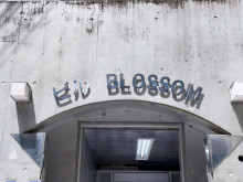 ネームプレート：ビルブロッサム