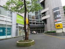 エントランスアプローチ