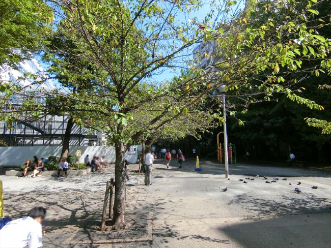 付近の桜川公園