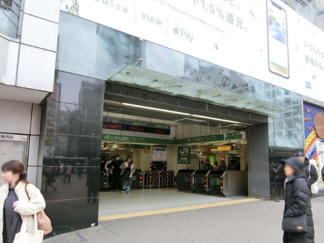 マリービル 渋谷 の空室情報 Officee