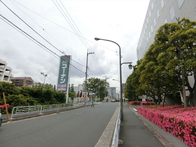 住友生命清澄パークビル 清澄白河 門前仲町 の空室情報 Officee