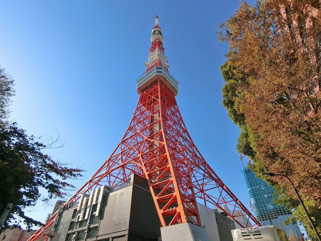 向かいの東京タワー