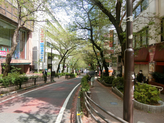 渋谷協栄ビル前面のさくら坂