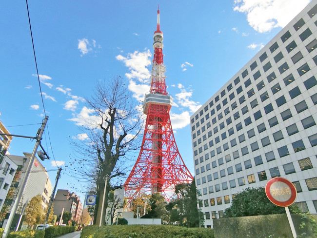 徒歩圏内の東京タワー