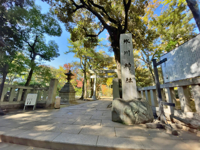 付近の赤坂氷川神社