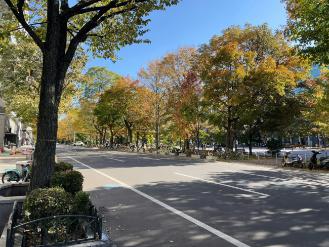 LNJ札幌大通公園ビル前面の通り