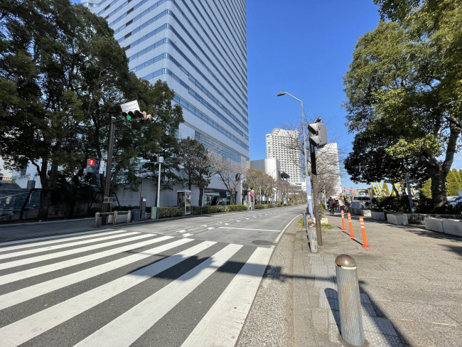 横浜ランドマークタワー前面のさくら通り