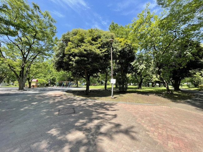 向かいの神奈川公園