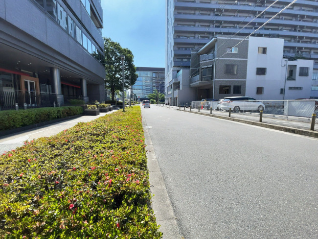 京都リサーチパーク ASTEM棟前面の通り