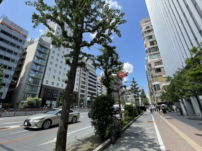 歌舞伎座タワー前面の昭和通り