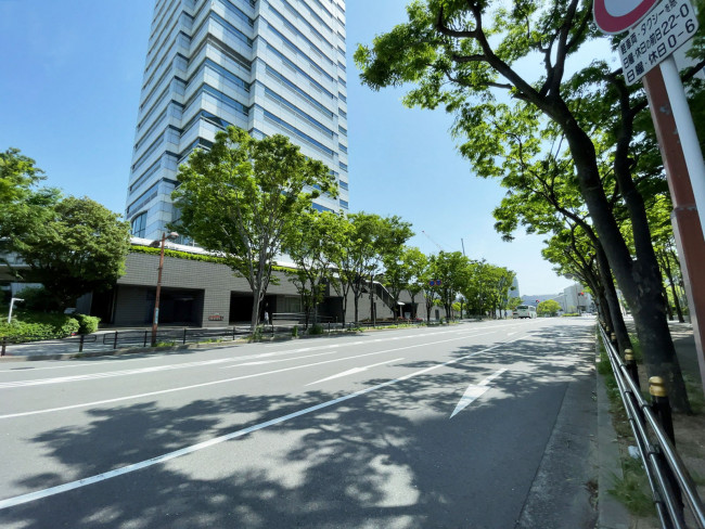 コスモプラザビル前面の通り