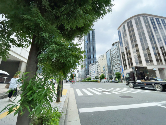 京阪谷町ビル前面の通り