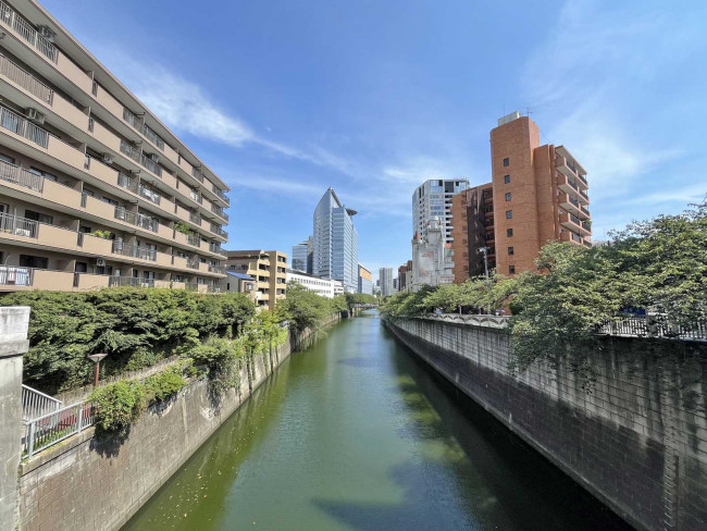 裏手を流れる目黒川